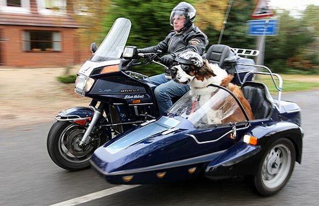 Morning Picdump