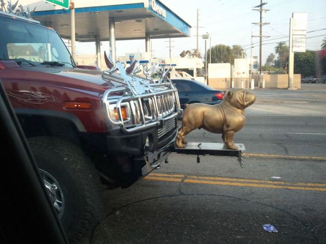 Content Image