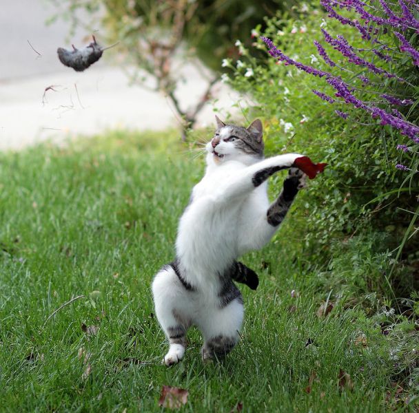 Daily Picdump