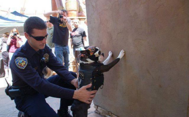 Daily Picdump