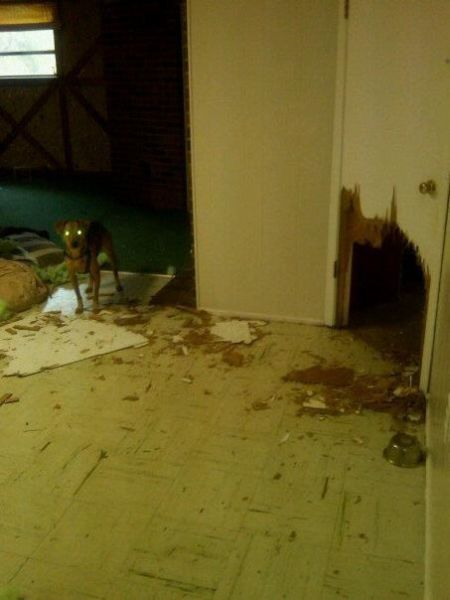 Content Image