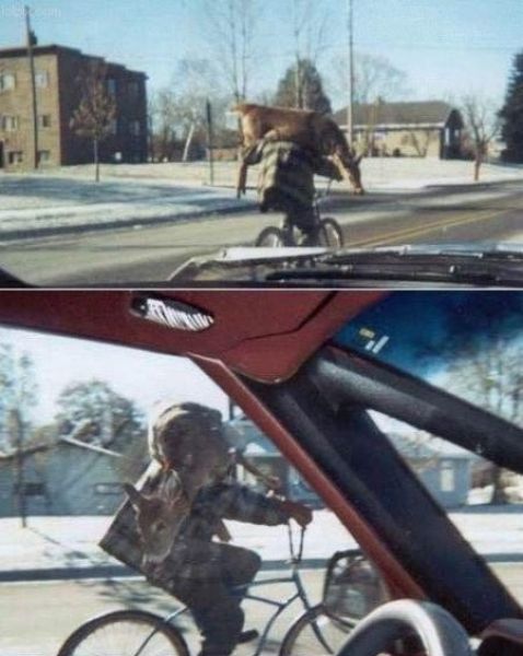 Content Image
