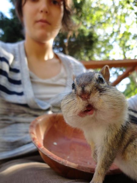 Content Image
