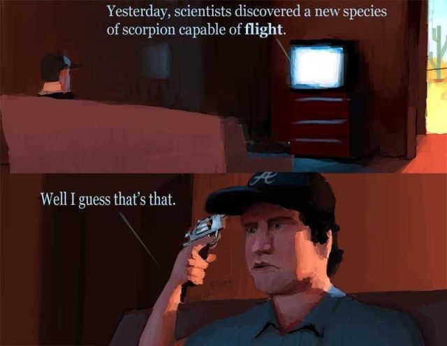 Content Image