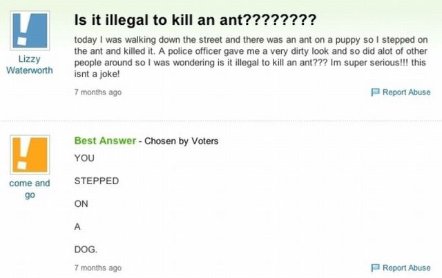 Morning Picdump