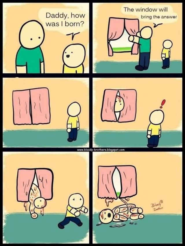 Morning Picdump