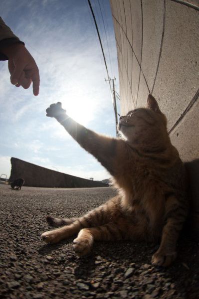 Morning Picdump