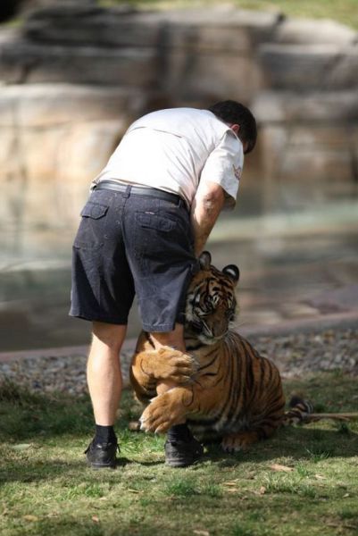 Morning Picdump