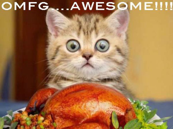 Funny Thanksgiving Moments