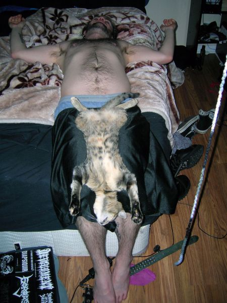 Daily Picdump