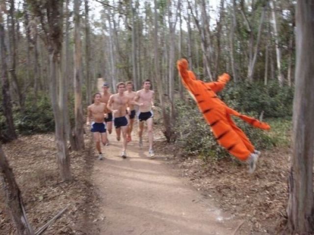 Morning Picdump