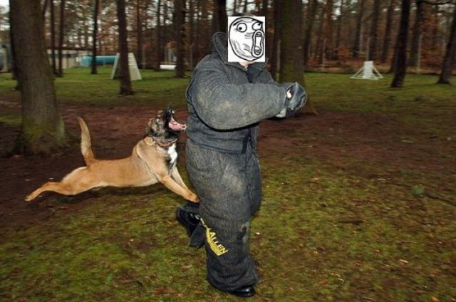 Content Image
