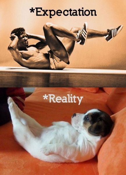 Morning Picdump