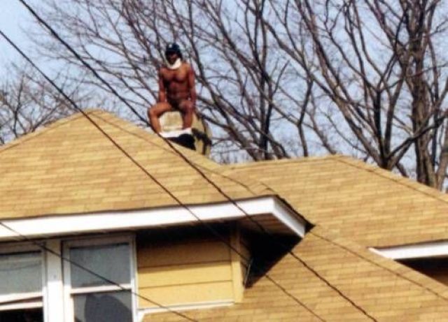 Daily Picdump
