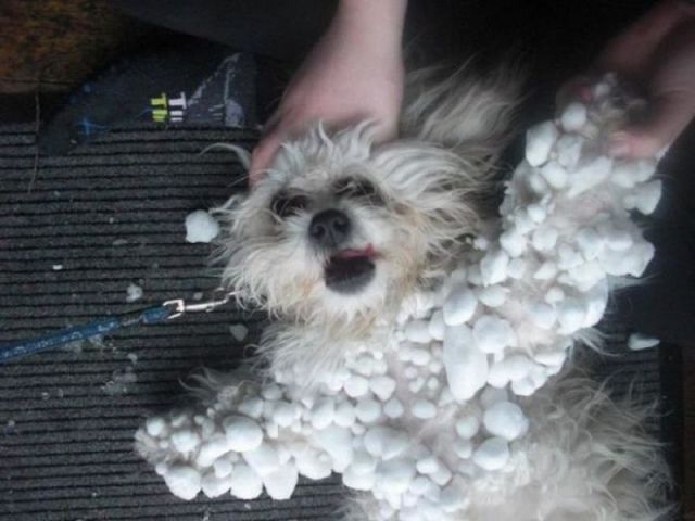 Morning Picdump