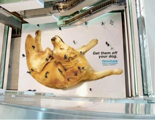 Outdoor Advertising You’ll Never Forget