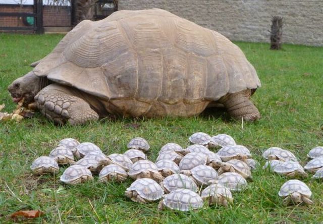 Morning Picdump