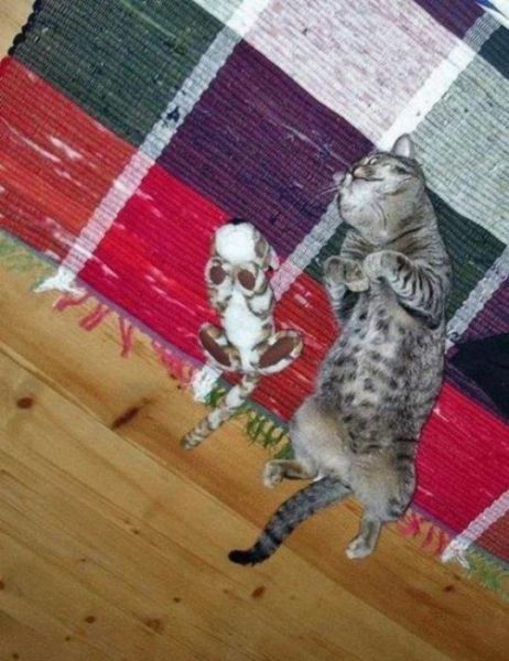 Content Image