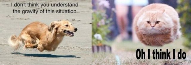 Morning Picdump
