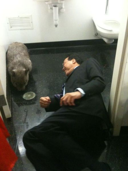 Content Image