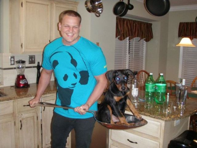 Content Image