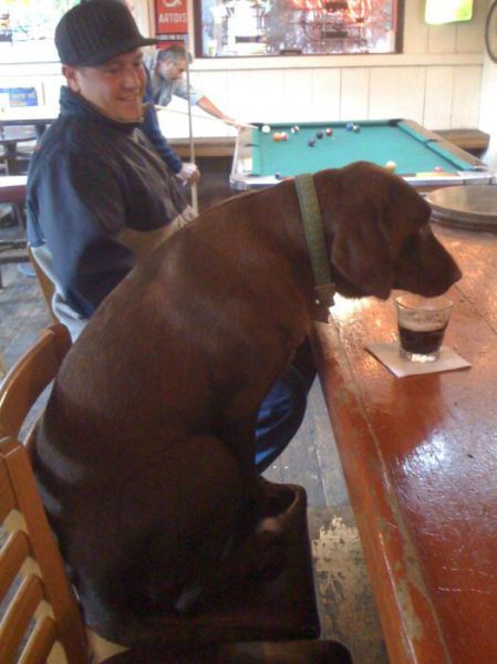 Morning Picdump