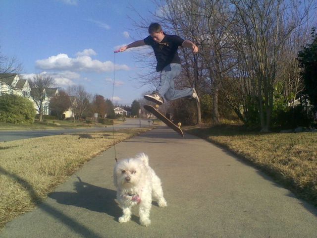 Morning Picdump