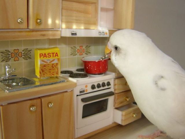 Content Image