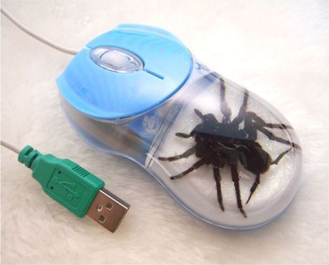 Content Image