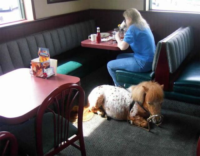 Content Image