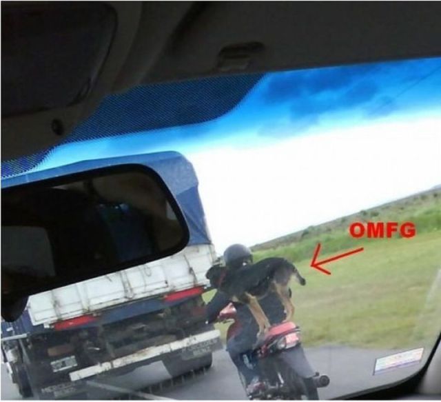 Morning Picdump