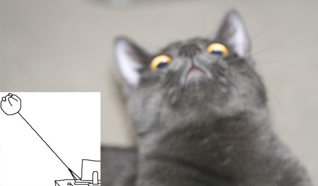 Content Image