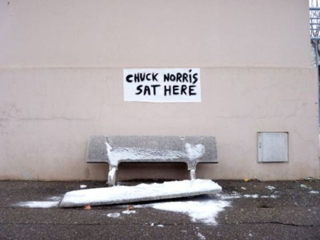 Morning Picdump