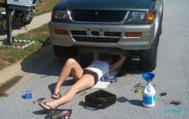 Morning Picdump