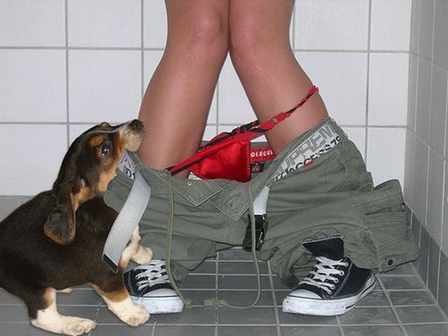 Daily Picdump