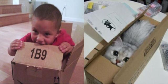 Daily Picdump