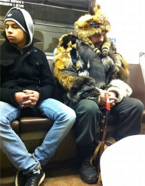 Daily Picdump