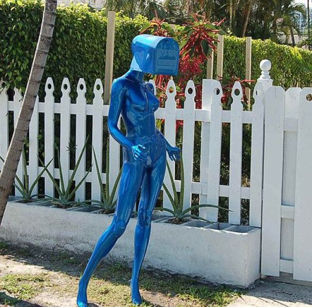 Content Image