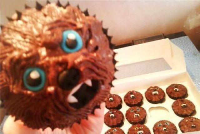 Morning Picdump