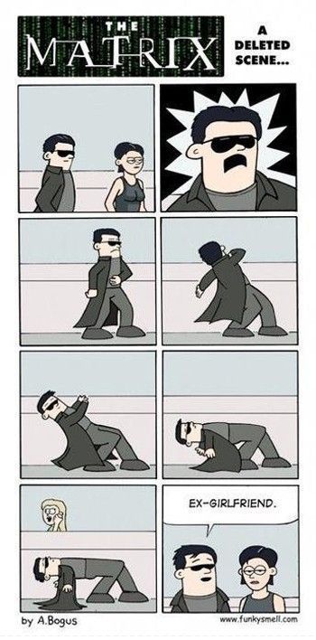 Morning Picdump