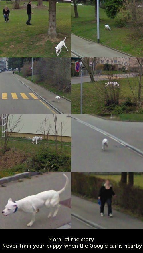 Content Image