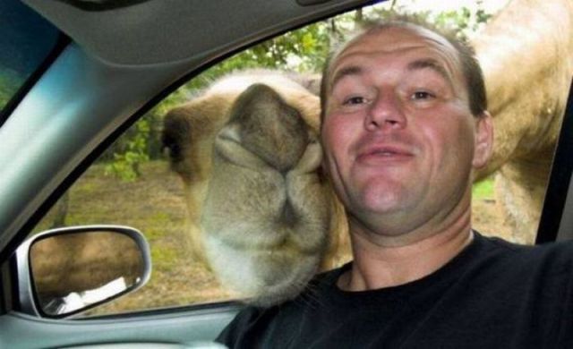 Morning Picdump
