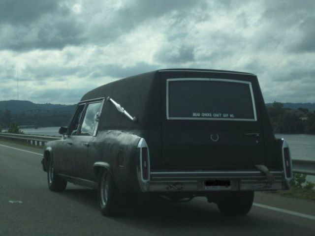 Morning Picdump