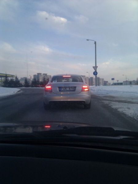 Morning Picdump