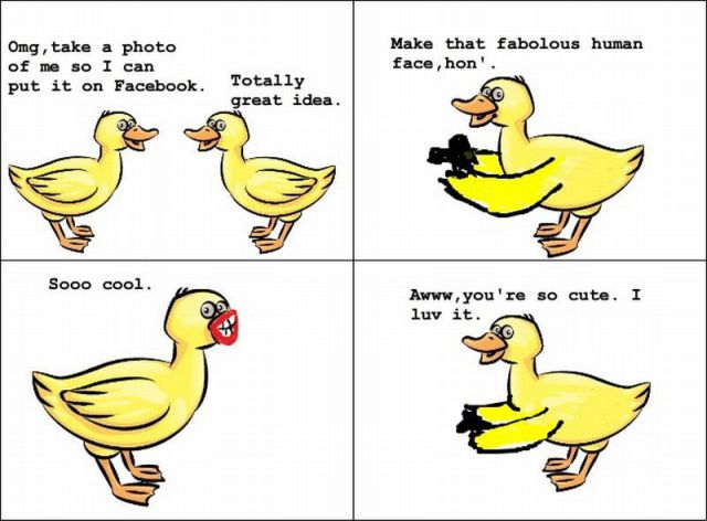 Content Image
