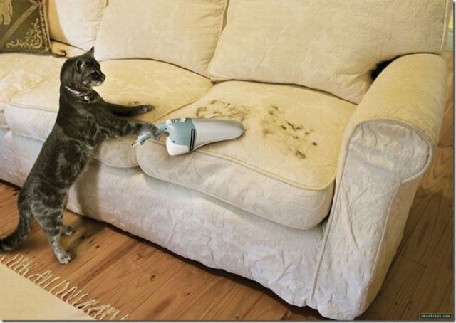 Morning Picdump