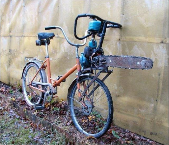 Daily Picdump