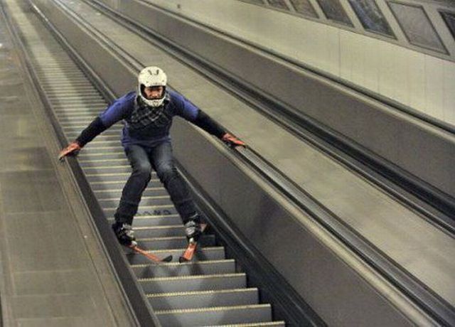 Daily Picdump