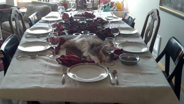 Daily Picdump
