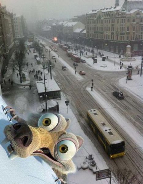Morning Picdump